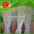 healthy and natural fresh gree leek hotbed chives chinese chives